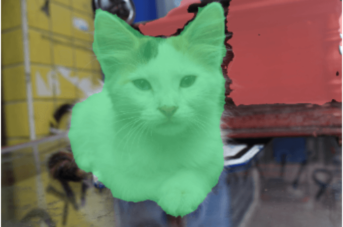 Pet Image Segmentation Model