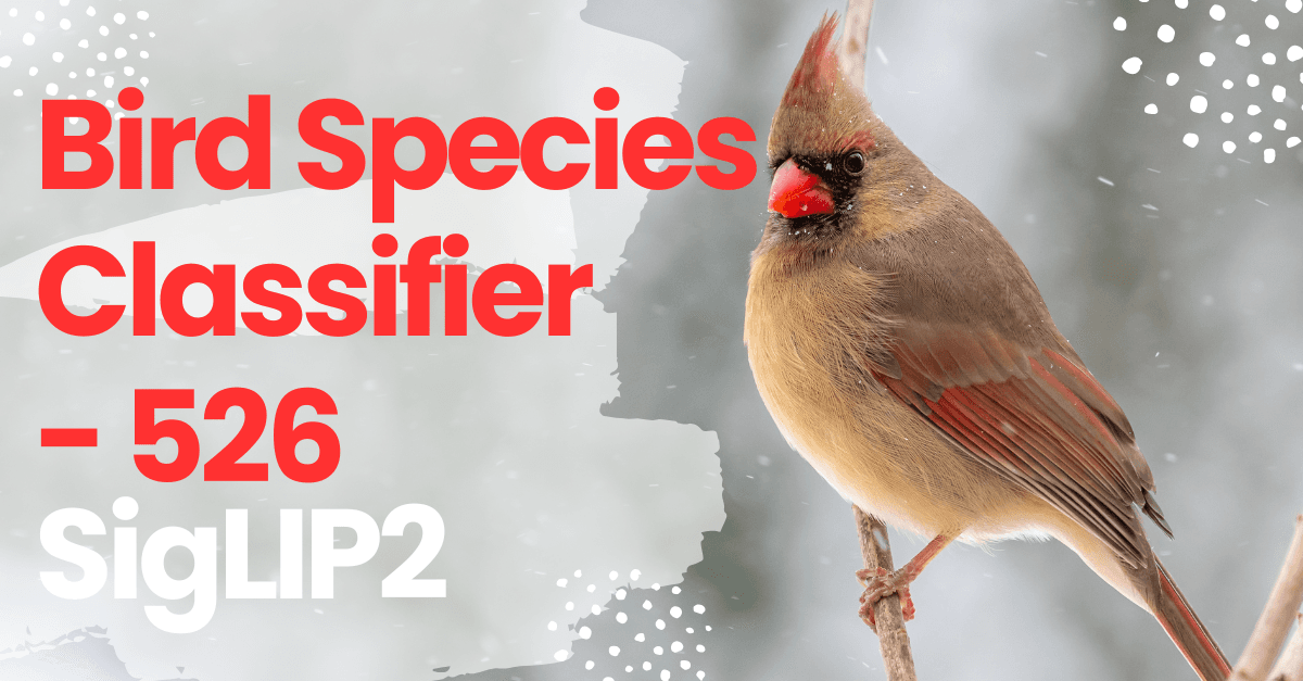 Bird Species Classifier 526: Image Recognition Model
